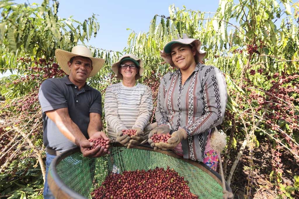 Seja no campo ou na cidade, Rondônia é referência em desenvolvimento pela força do trabalho de seu povo - Gente de Opinião