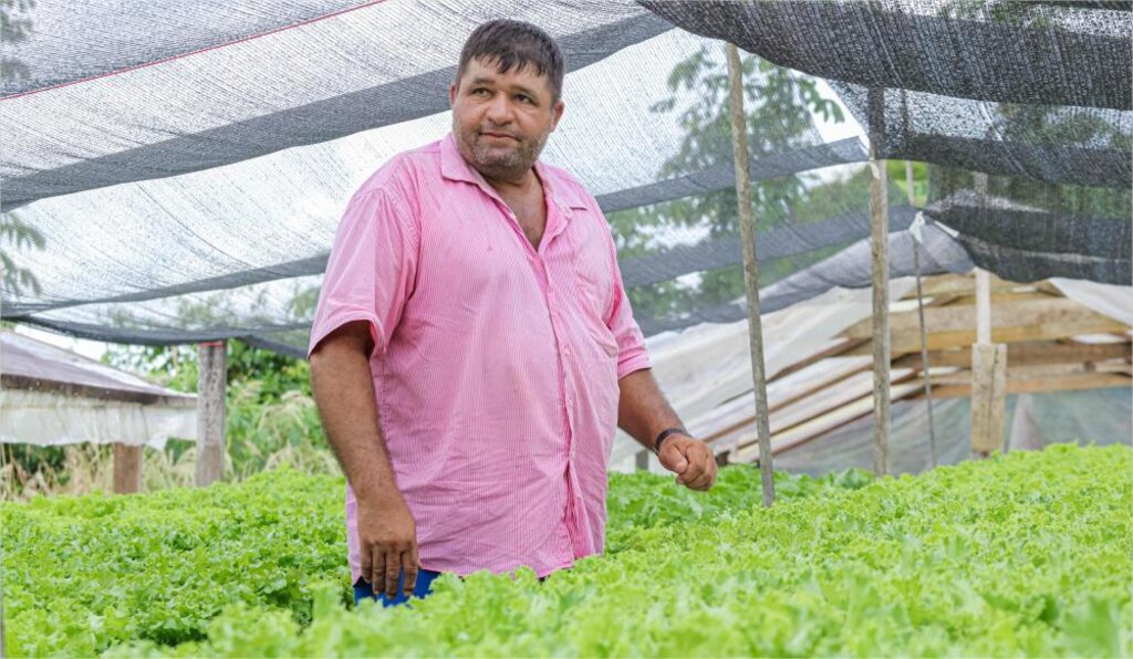 Pedro produz verduras e cheiro verde (Foto: Antônio Lucas I Secom ALE/RO) - Gente de Opinião