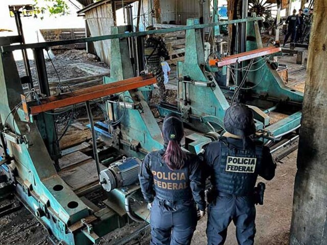 PF combate crimes ambientais na Terra Indígena Igarapé Lage - Gente de Opinião