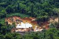 MPF recomenda ao ICMBio registro detalhado de infrações em operações no Amazonas e em Rondônia
