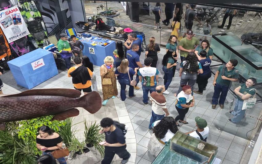 Festival destaca gastronomia, conhecimento e cultura no primeiro dia do 2º Festival de Peixe da Amazônia