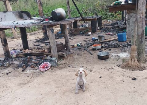 Entidades denunciam ação de pistoleiros em Machadinho D’oeste/RO
