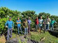 O Agro em boas mãos: produção de café dobra e realiza sonhos em Nova Brasilândia do Oeste