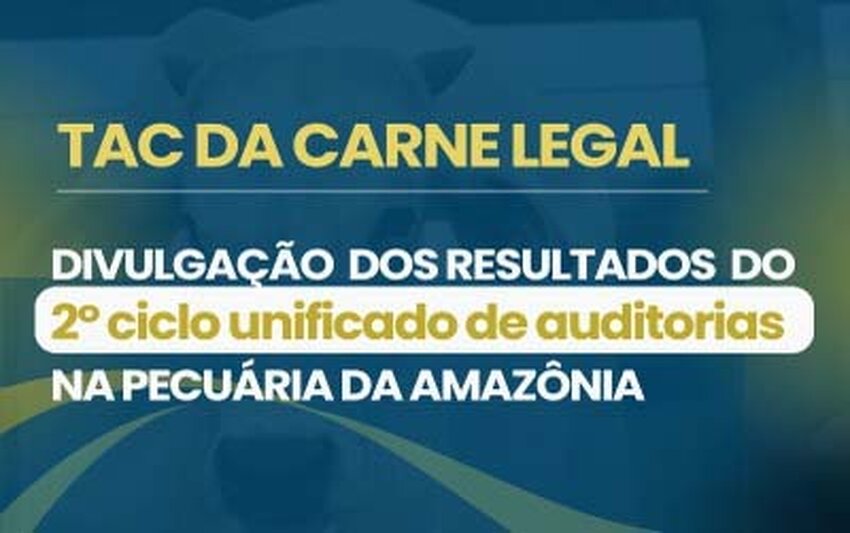 Carne Legal: frigoríficos signatários do TAC na Amazônia têm 13 vezes menos irregularidades que os demais
