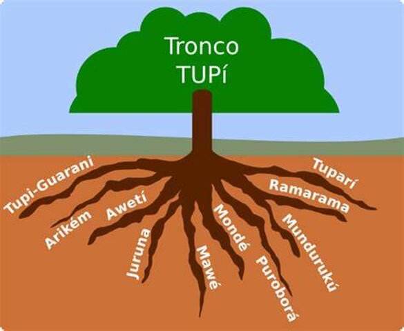 Tronco Tupi é a grande riqueza linguística brasileira - Gente de Opinião