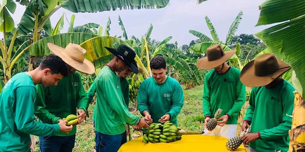 Bioecononomia ganhou espaço na  educação profissional por causa do fortalecimento da economia verde - Gente de Opinião