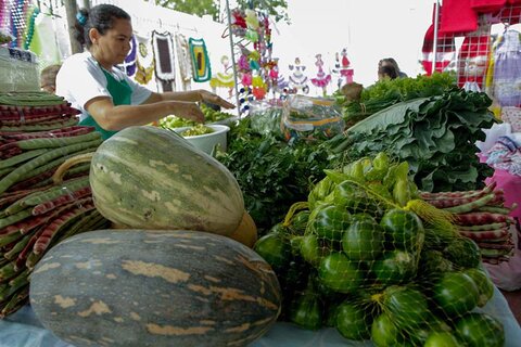 Marcos Rocha fortalece protagonismo feminino no campo ao celebrar 1º ano do Dia da Mulher do Agro   