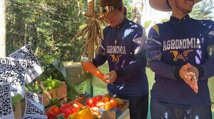 Dia de Campo das Agrárias movimenta Fazenda Escola da FIMCA com foco em sustentabilidade e integração entre cursos - Gente de Opinião