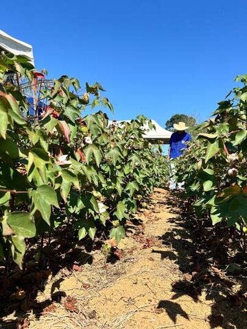 Dia de Campo das Agrárias movimenta Fazenda Escola da FIMCA com foco em sustentabilidade e integração entre cursos - Gente de Opinião