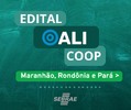 Sebrae em Rondônia adere ao edital ALI COOP e fortalece cooperativas sustentáveis da Amazônia