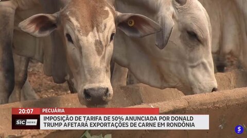Pecuaristas de Rondônia preocupados com tarifa de 50% imposta pelos EUA