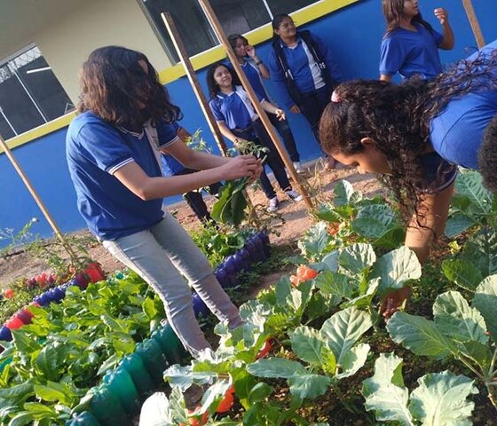 Governador Marcos Rocha fortalece educação ambiental como estratégia no combate às queimadas em Rondônia - Gente de Opinião