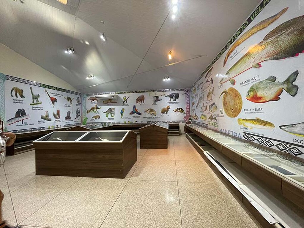 Museu do Parque Natural encanta visitantes com mais de 150 espécies da fauna amazônica - Gente de Opinião