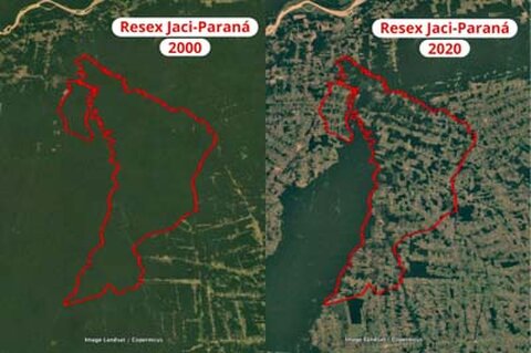 MPF pede que gestão da Reserva Extrativista Jaci-Paraná, em Rondônia, passe para a União