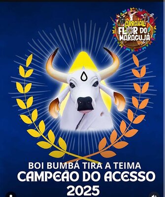 Resistência de um povo guerreiro - Boi Bumbá Tira Teima é Campeão do Grupo de Acesso.