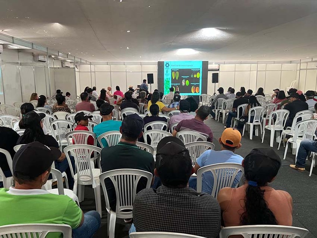 Sebrae fortalece presença no agronegócio durante a Expoari e Agroari 2025 - Gente de Opinião