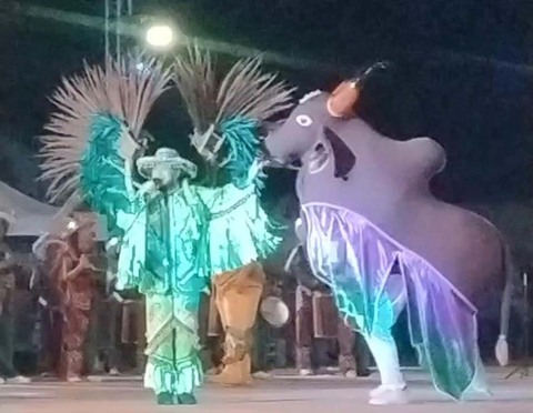 Boi Bumbá Marronzinho - Apresentação do Boi Bumbá Mo'ã: Amazônia Preservada emociona público no Flor do Maracujá