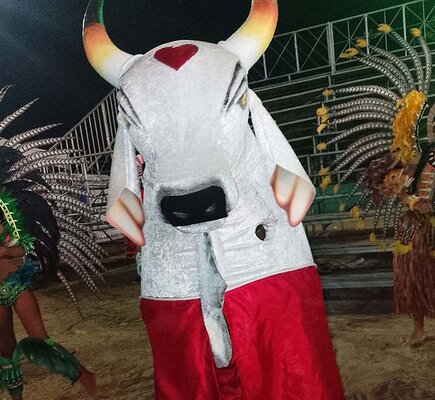 Terra Folclore - O Chão Sagrado das Tradições Boi Bumbá Veludinho Mirim 