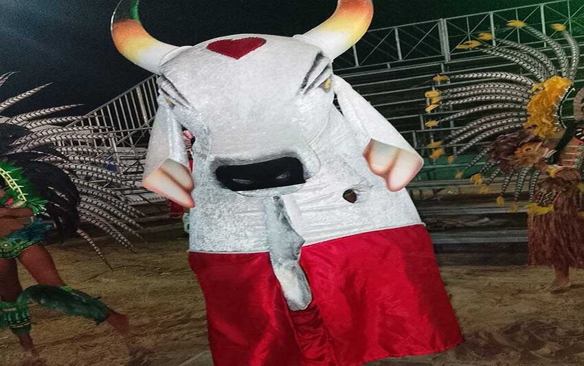 Boi-Bumbá Mirim Veludinho encanta o público com o espetáculo "O Chão Sagrado das Tradições"