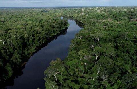 Governo de Rondônia conquista redução de 35% de áreas sob alerta de desmatamento