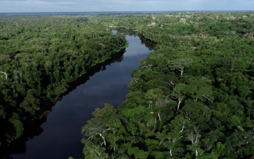 Governo de Rondônia conquista redução de 35% de áreas sob alerta de desmatamento
