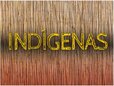 MPF recomenda à Funai dar visibilidade aos limites da Terra Indígena Sagarana, em Rondônia