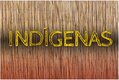 MPF recomenda à Funai dar visibilidade aos limites da Terra Indígena Sagarana, em Rondônia