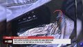 Influenciador acusado de abandonar mochila com explosivo falso se entrega à PF