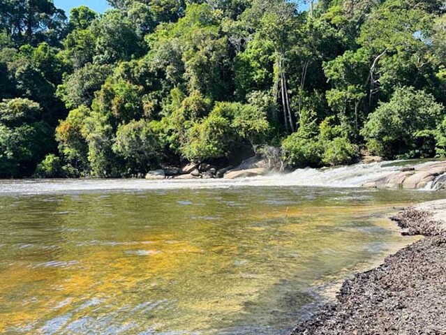 Renovação reforça estratégia de internacionalização de Rondônia como destino turístico, valorizando a biodiversidade e cultura local  - Gente de Opinião