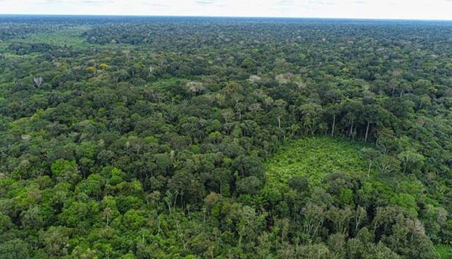 STF garante orçamento para proteção ambiental em Rondônia após atuação do MPRO - Gente de Opinião