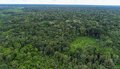 STF garante orçamento para proteção ambiental em Rondônia após atuação do MPRO