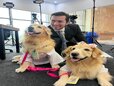 Cães são aliados contra a depressão: benefícios e cuidados dessa relação No novo episódio do podc