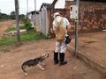 Energisa registra mais de 30 ataques de cães a leituristas no 1º semestre de 2025