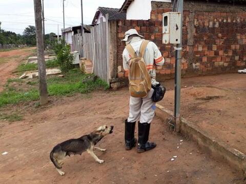 Energisa registra mais de 30 ataques de cães a leituristas no 1º semestre de 2025
