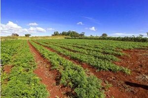 Imagem ilustrativa de área de reforma agrária Foto: Ministério do Desenvolvimento Agrário - Gente de Opinião