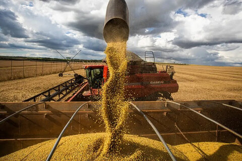 Rondônia amplia área produtiva e produtividade e chega a 5,4 milhões de toneladas de grãos na safra 24/25