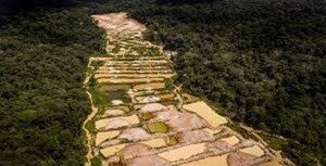 A quem interessa manter o garimpo na clandestinidade? I  - Gente de Opinião