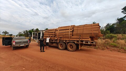 Polícia Federal deflagra operação contra exploração ilegal de madeira da Terra Indígena Roosevelt/RO