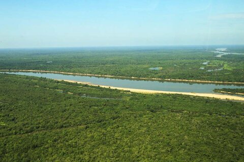 Governo de Rondônia é referência na preservação da Amazônia Legal e assume liderança em Fórum de articulação para formulação de políticas ambientais
