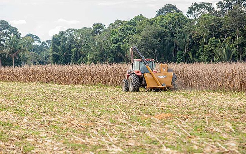 Assembleia aprova crédito suplementar de R$ 23,8 milhões para fortalecimento da agricultura em Rondônia 