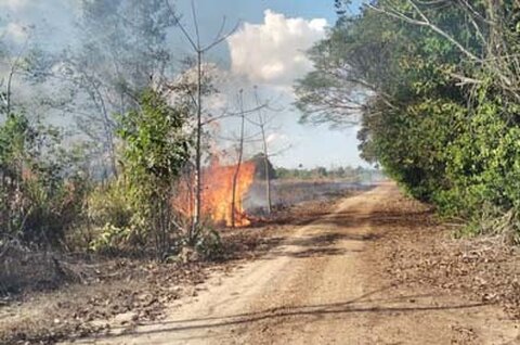 MPF e PF acompanham denúncias de intimidação contra povo indígena Puruborá em Rondônia