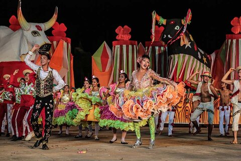 Deputados aprovam projeto de lei que fortalece cultura e esporte em Rondônia 