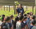 No Mês da Árvore, alunos trocam a sala pelo viveiro e colocam a mão na terra