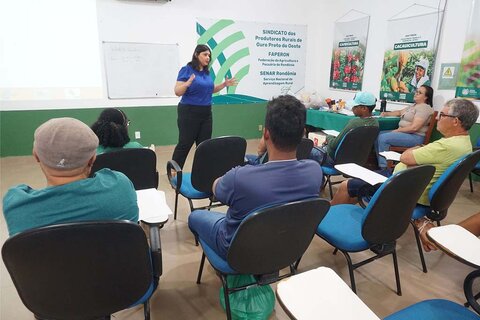 Sebrae em Rondônia capacita produtores de cacau em Ouro Preto do Oeste