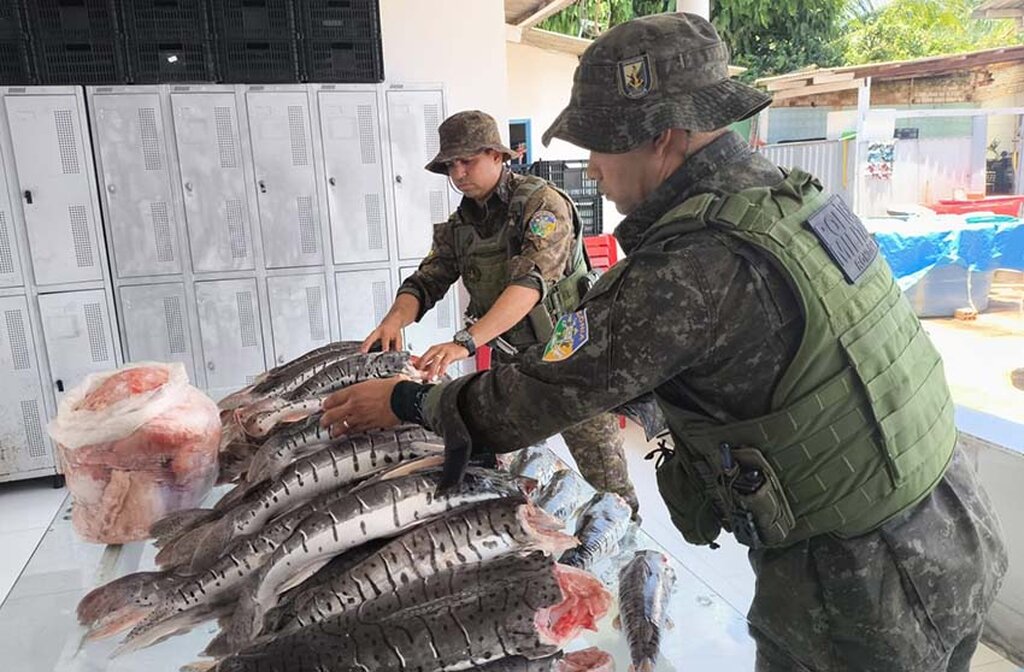 Operação Protetor dos Biomas apreende mais de 200 kg de pescado irregular em Porto Velho e destina ao Hospital do Amor - Gente de Opinião