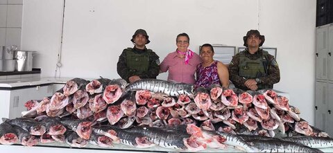 Operação Protetor dos Biomas apreende mais de 200 kg de pescado irregular em Porto Velho e destina ao Hospital do Amor