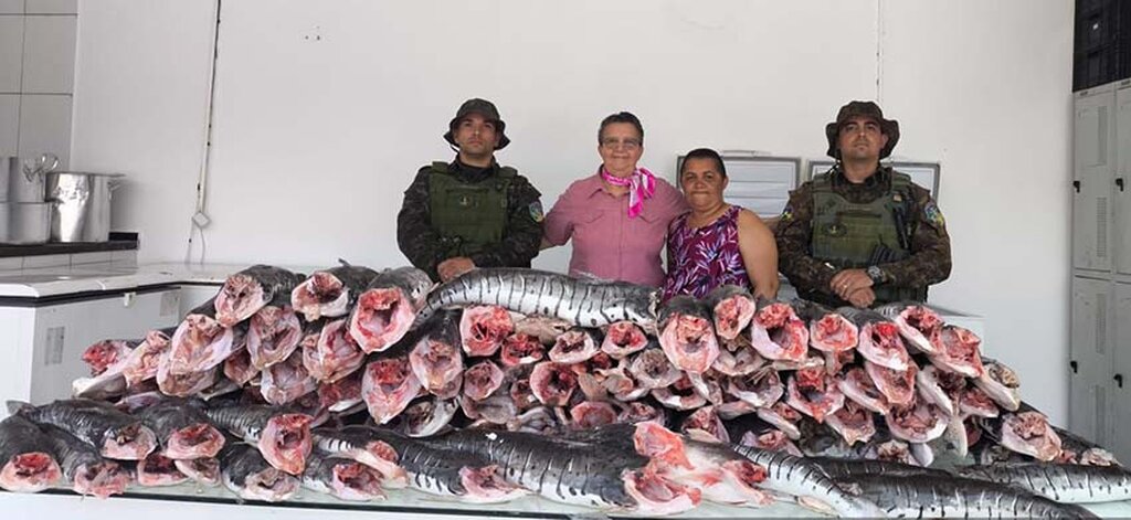 Operação Protetor dos Biomas apreende mais de 200 kg de pescado irregular em Porto Velho e destina ao Hospital do Amor - Gente de Opinião