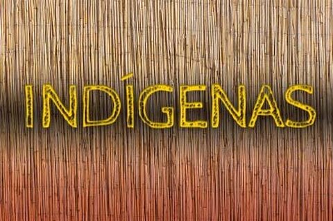 MPF apura notícias falsas sobre retirada de invasores da Terra Indígena Uru-Eu-Wau-Wau (RO)