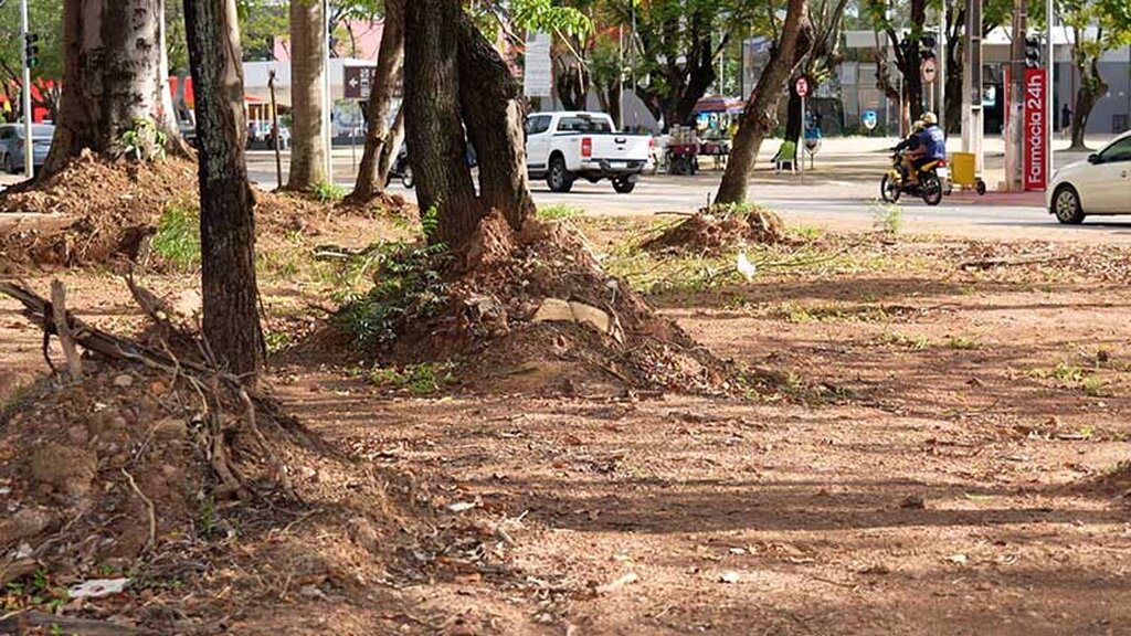 Local sofria recorrentes alagamentos, o que tornou necessário o restabelecimento do sistema de drenagem - Gente de Opinião