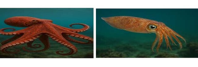 Dia de finados fora de época - Gente de Opinião